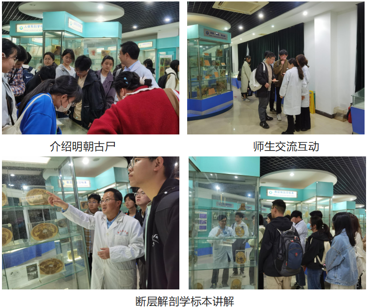 d045abe031f7499180c1df702f3db337.png